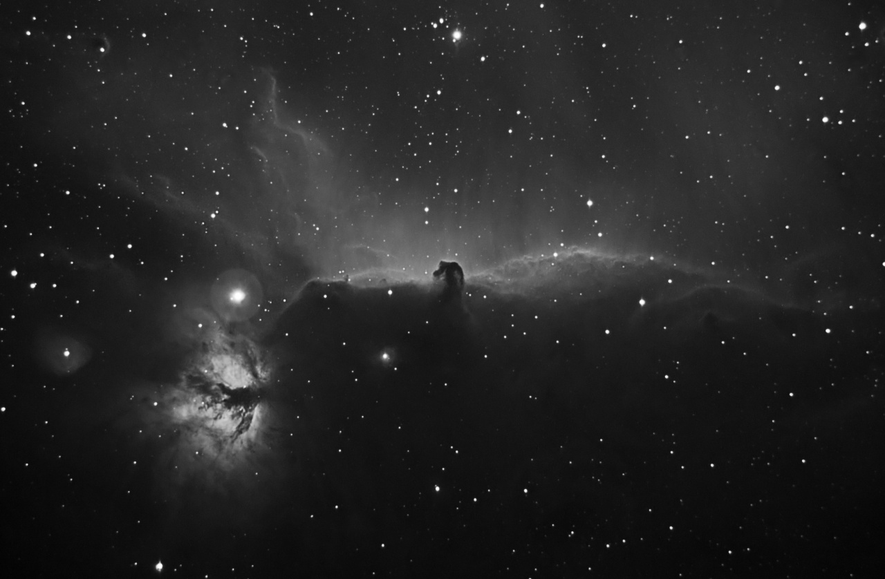 The Horse Head Nebula